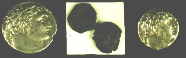 The Tyrian shekel amd half shekel with the kalobon coins, used to pay the money changers
