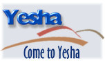 Art, Judaica and products from YESHA